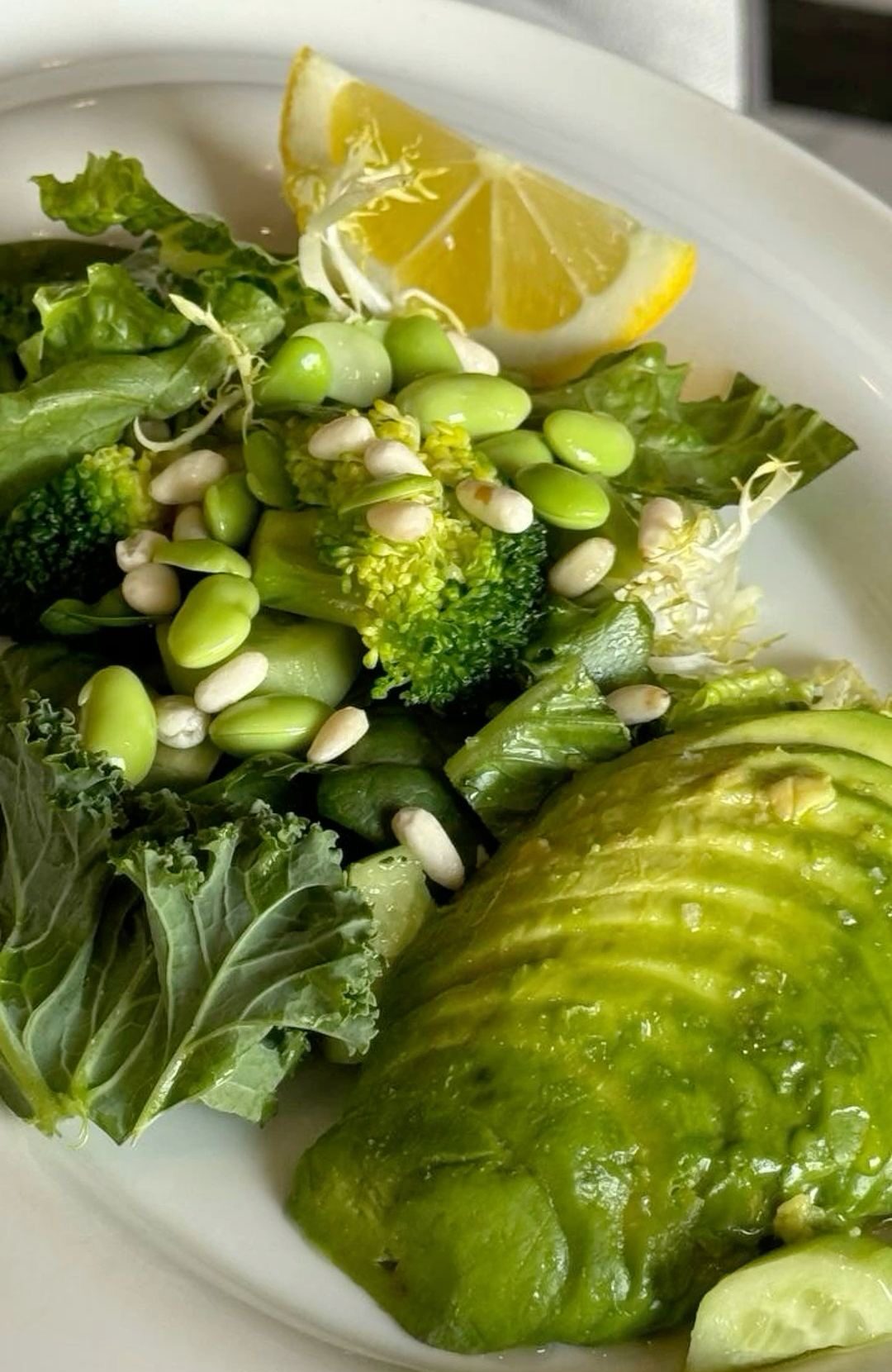 img_0624-e1769514459942