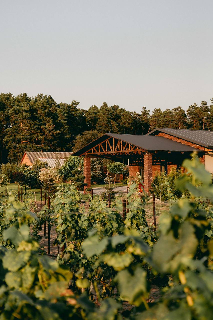 image-2026-03-31-173242